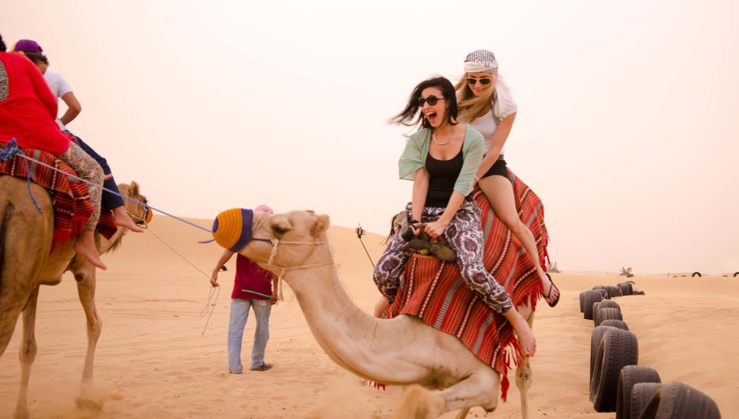 Camel Rides in Dubai